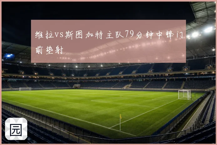 维拉vs斯图加特主队79分钟中锋门前垫射