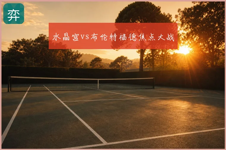 水晶宫vs布伦特福德焦点大战